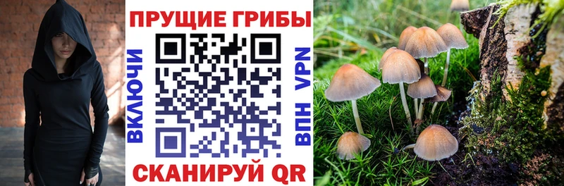Купить  Козьмодемьянск  Галлюциногенные грибы Magic Shrooms 